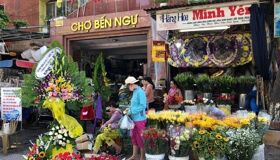 Dive into the cultural charm of Hue Travel